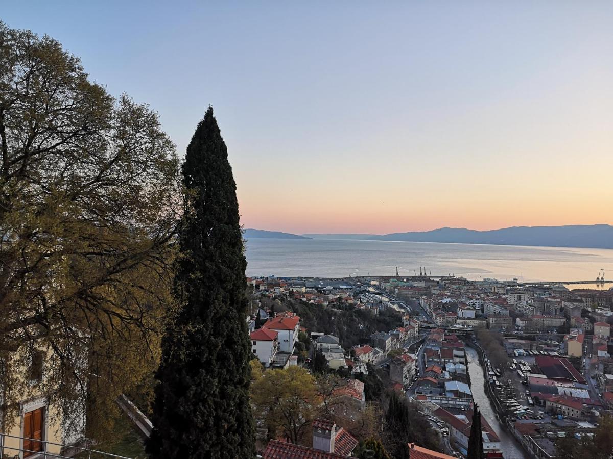 Marica Daire Rijeka Dış mekan fotoğraf